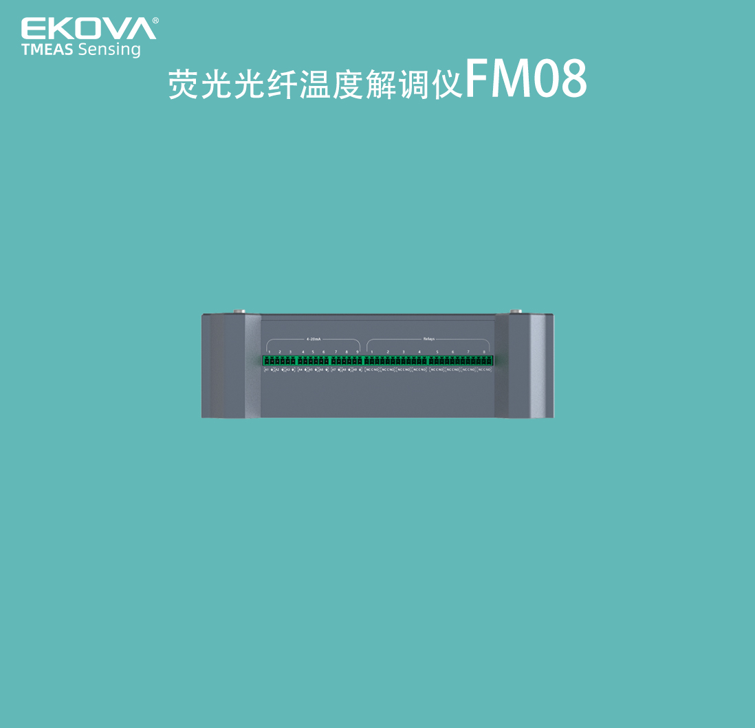 熒光溫度表FM08-細節(jié)2 拷貝