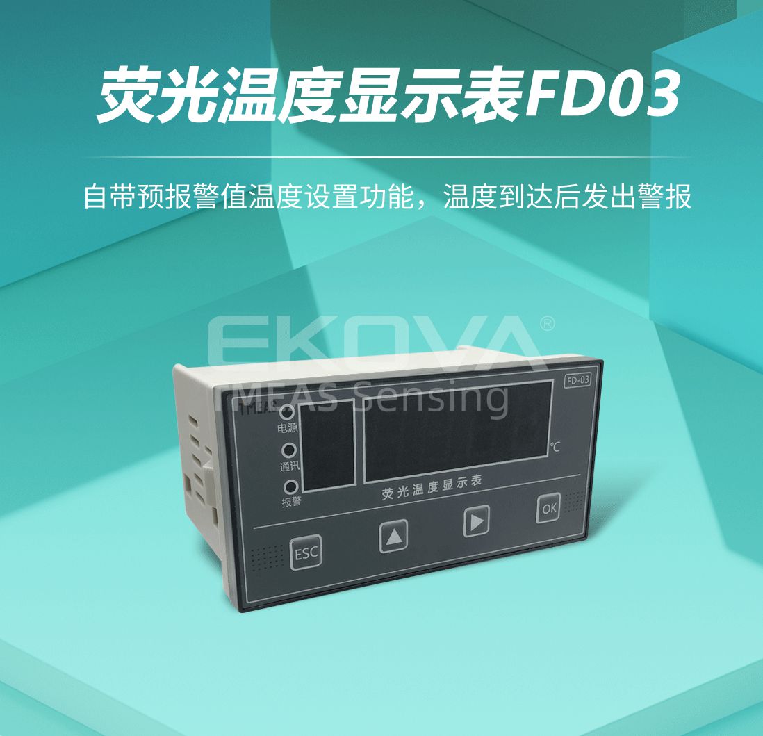 熒光溫度顯示表FD-03