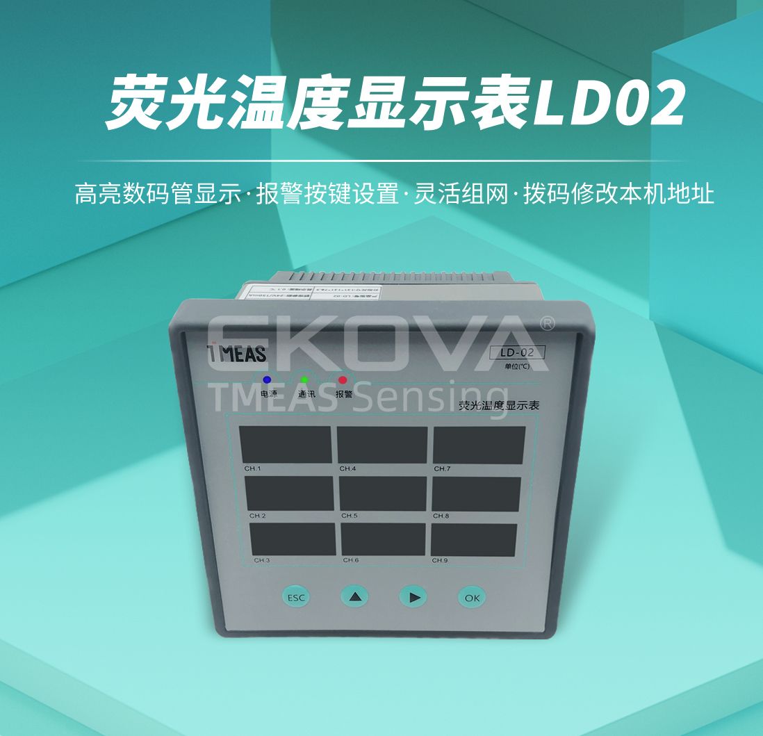 熒光溫度顯示表LD-02