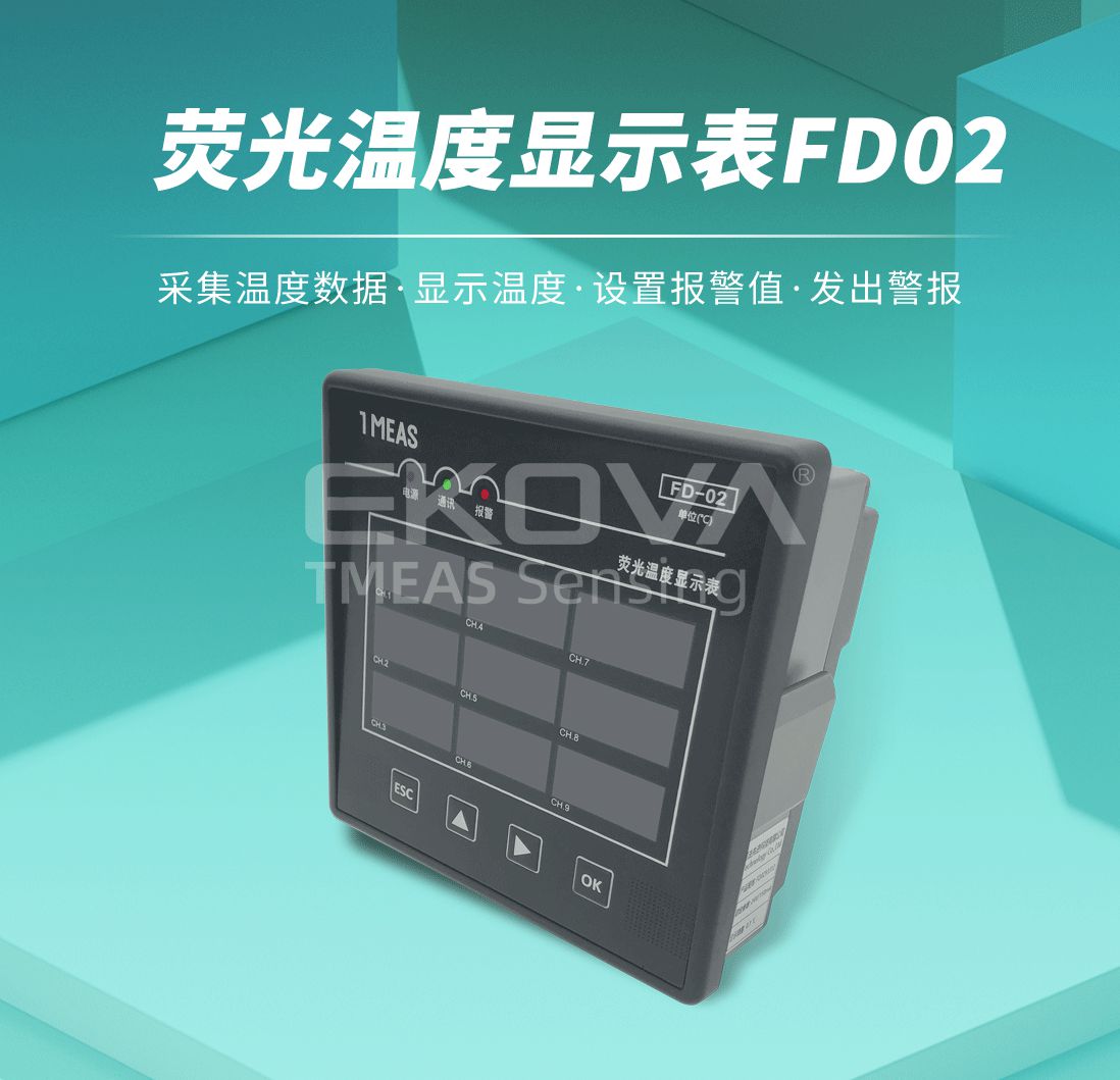 熒光溫度顯示表FD-02