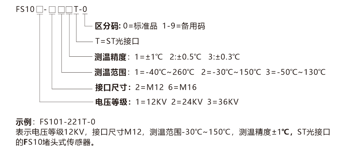 FS10-選型說明