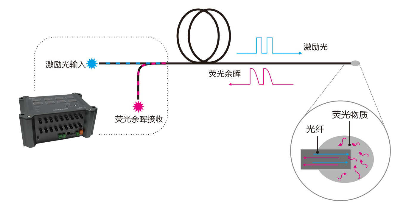 FM21-插圖